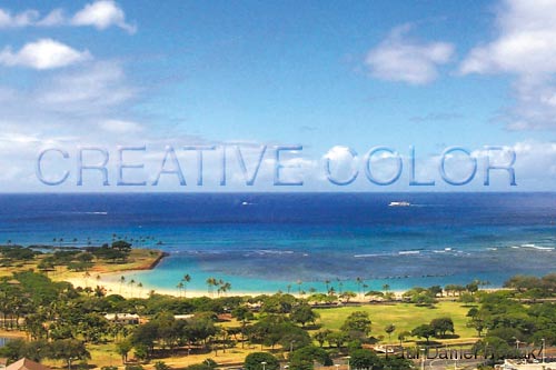 lgalamoanaparktwo.jpg (32337 bytes)