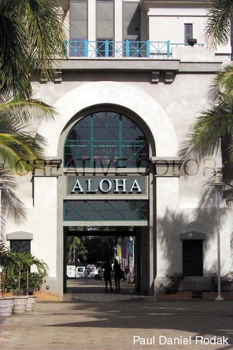 lgalohacloseup.jpg (34317 bytes)