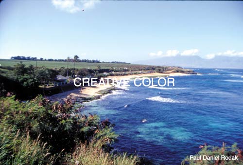 lgbeachpark.jpg (35107 bytes)