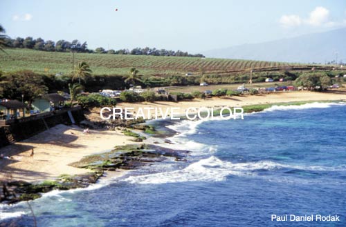 lgbeachparkcu.jpg (35201 bytes)