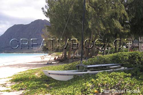 lgbellows.jpg (32942 bytes)