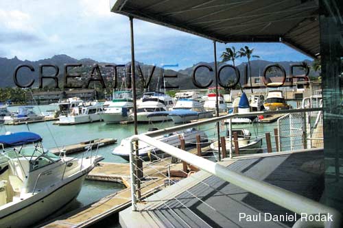 lgboatsenh.jpg (35436 bytes)