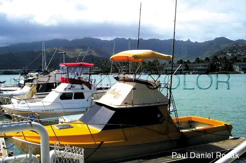 lgboatstwo.jpg (34826 bytes)