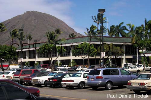 lgboh.jpg (34606 bytes)