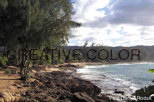 lgcrescentcoast591.jpg (34584 bytes)