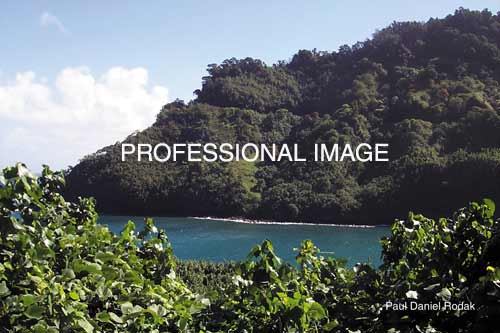 lgemeraldblue.jpg (30681 bytes)