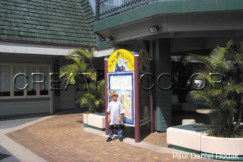 lgenhdirectory.jpg (35018 bytes)