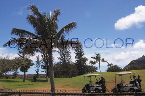 lggolfing.jpg (33296 bytes)