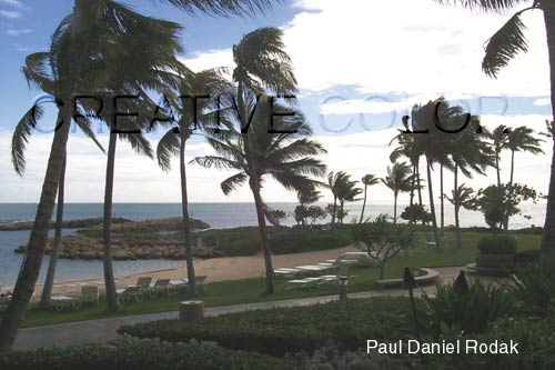 lggrounds.jpg (33776 bytes)