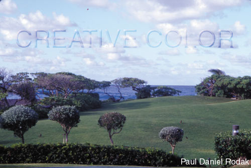 lggrounds1199H0329.jpg (34707 bytes)