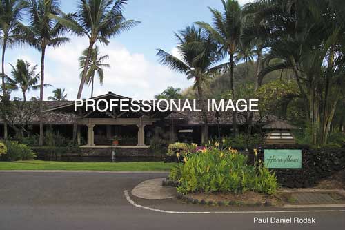 lghanamaui.jpg (28884 bytes)