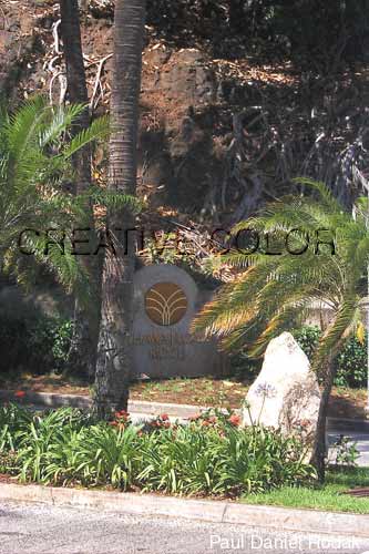 lghawaiiloa.jpg (35294 bytes)