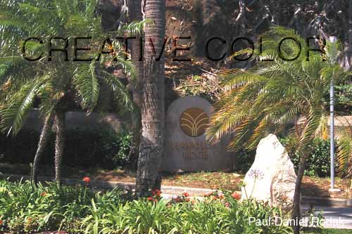 lghawaiiloa2.jpg (35545 bytes)