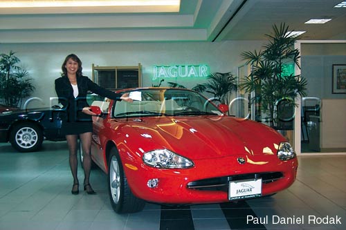 lgjaguar.jpg (35271 bytes)