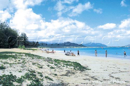 lgkailuabeaches.jpg (34366 bytes)
