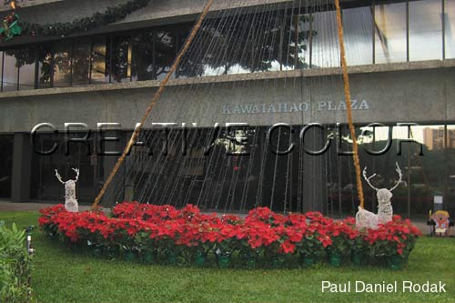 lgkawaiahao.jpg (35125 bytes)