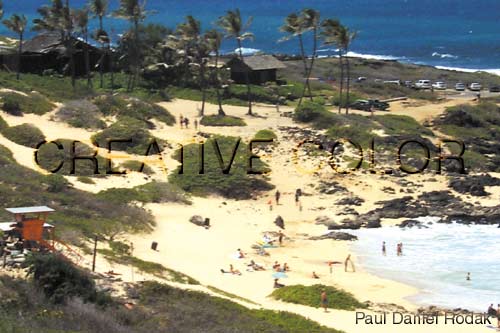 lglifeguardcrop.jpg (35620 bytes)