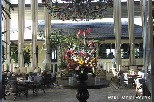 lglobbylandscap.jpg (36009 bytes)