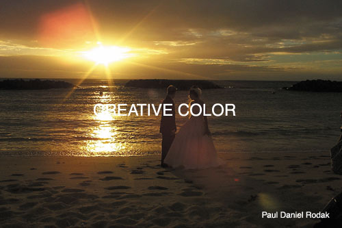 lglookingtofuture.jpg (33043 bytes)