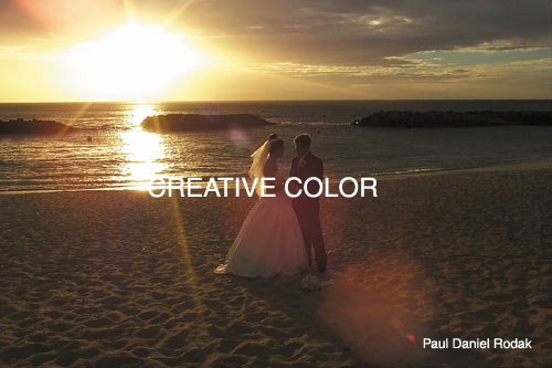 lglovinglook.jpg (33393 bytes)