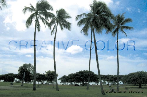 lgmagicisland.jpg (34740 bytes)