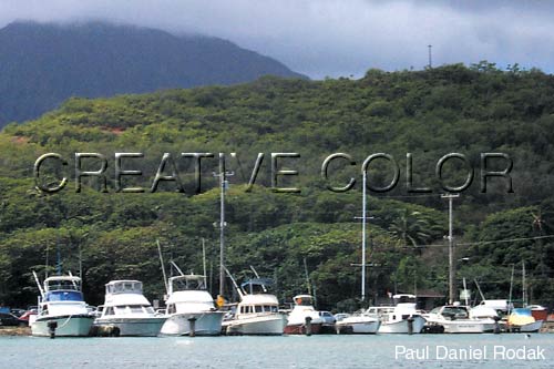 lgmarina.jpg (34997 bytes)