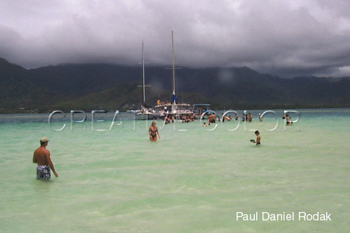 lgnaturesplayground.jpg (35592 bytes)