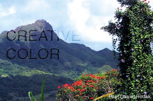 lgpalikailuaside.jpg (35259 bytes)