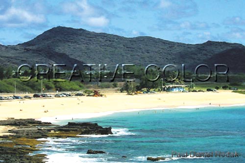 lgsandybeach.jpg (33839 bytes)