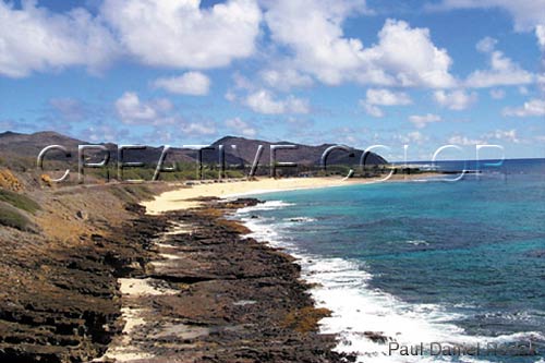 lgsandycoastline.jpg (35473 bytes)