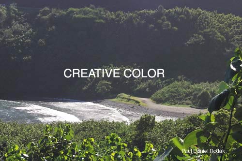 lgshadowcove.jpg (34520 bytes)