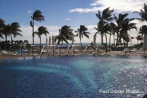 lgswimmingpool.jpg (34938 bytes)