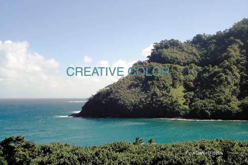 lgturquoisebay.jpg (30870 bytes)