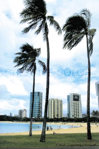 lgviewofbeach.jpg (34136 bytes)