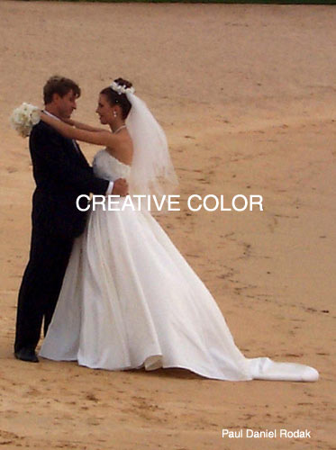 lgweddingbeachgaze.jpg (33193 bytes)