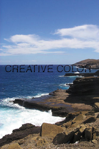 lgwhataview.jpg (35576 bytes)