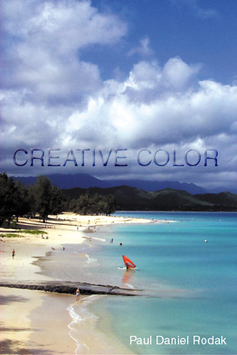 lgwindsurfer.jpg (35771 bytes)