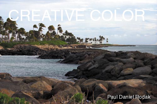 lgwindyday.jpg (33952 bytes)